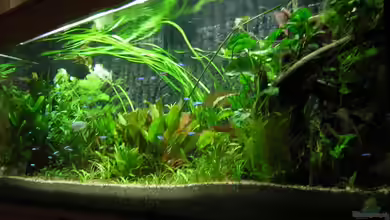 Diskus von Antje und Daniel