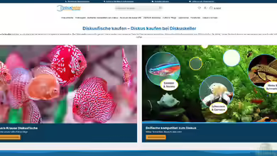 diskuskeller.de - Onlineshop für Diskusfische