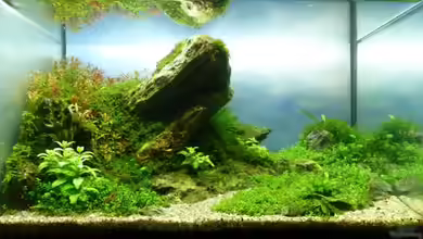 Draussen am Kliff von -serok-