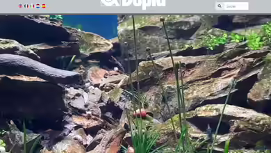Dupla – Tradition, Innovation und Qualität aus der deutschen Aquaristik
