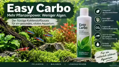 Easy Carbo im Aquarium: Wirkung, Anwendung, Dosierung und Risiken verständlich erklärt