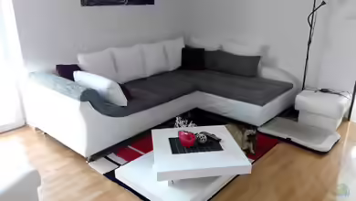 Ecksofa und Terrarium kombinieren - So gelingt die perfekte Symbiose aus Wohnkomfort und Tierwohl