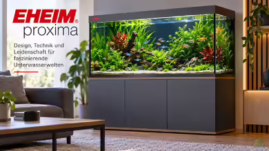 EHEIM proxima – modernes Designaquarium mit hochwertiger Technik und durchdachtem Möbelkonzept