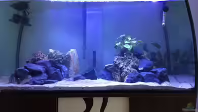 Eheim Scubabay Malawi von Dani OH