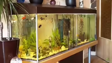 Eigenbau von Ralf Seidel