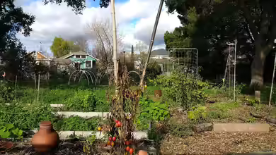 Ein Biotop im Schrebergarten