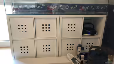 Ein Kallax Regal als Aquariumunterschrank: Geht das?
