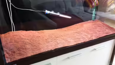 Ein Neustart im Aquarium: Der Komplettwechsel des Bodengrunds