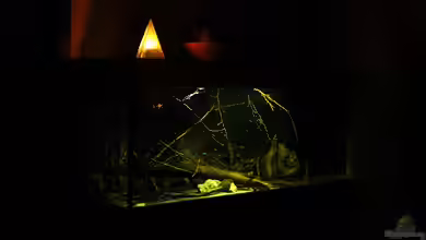 Ein Stück Südamerika von marxbre