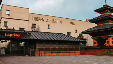 Einen Besuch wert: Das Tropen-Aquarium im Tierpark Hagenbeck