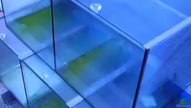 eingekauft