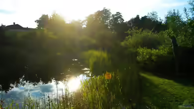 Einrichtungsbeispiele für Naturteiche