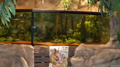 Einrichtungsbeispiele zu Besuch bei Kölle-Zoo in München