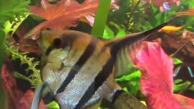 Erholung von Sabrina Plankensteiner