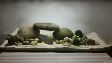 Ersatzbecken von linlan