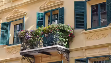 Essbare Blumen und Blüten aus dem eigenen Garten - Genuss und Schönheit direkt vor der Haustür