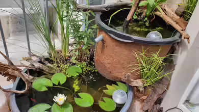 Etagenkübel von Aqua fan