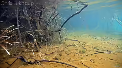 Exclusiv für EB von aquascape-guru.de- Naturbeispiel ´Lake Matano´ - Sulawesi (Teil 1)