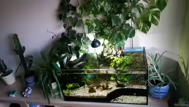 Experimental Aquarium 112 Liter von Gigi