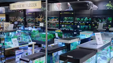 Facelift in Rekordzeit - Kölle Zoo modernisiert Filiale München-Pasing