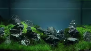 Felsenland von Marcel Reiter