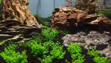 Felsschlucht von Florian_C