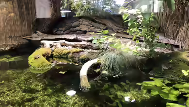 Feuchtgebiete im Alpenzoo Innsbruck Teil 2/2