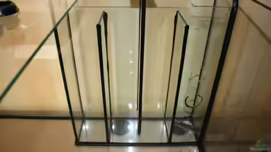 Filterung eines Aquariums