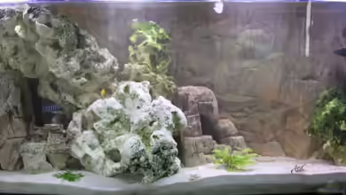 finkys hood von finky