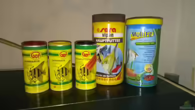 Flockenfutter: Zusammensetzung, Auswahl und richtige Fütterung
