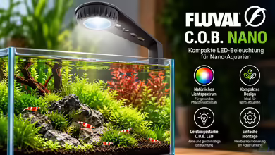 Fluval C.O.B. Nano – kompakte LED-Beleuchtung für Nano-Aquarien
