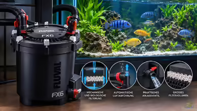 Fluval FX – Leistungsstarke Außenfilter für große Aquarien