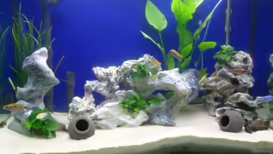 Fluval profile 1000 Bambusoptik von Steff22