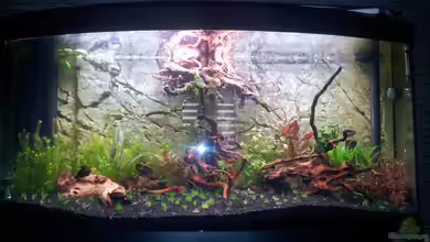 Fluval Vicenza 260 von Gokel79