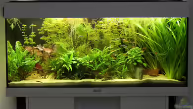 Funky, Funky von INGE