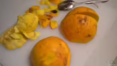 Futter für Garnelen ??? der Hokkaidokürbis
