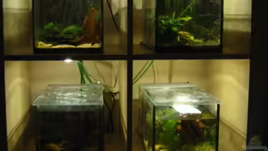 Futterbecken von Christina Studt