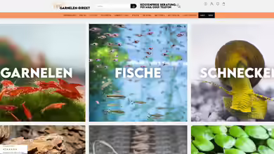 garnelen-direkt.de - Onlineshop für Wirbellose und Zierfische