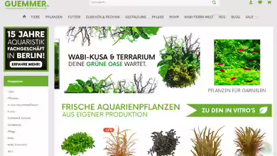 Garnelen Gümmer - In Berlin und im Netz