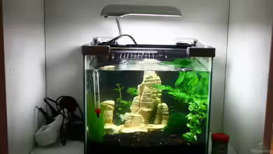 Garnelen Nano Becken (nur noch als Beispiel) von tobsen