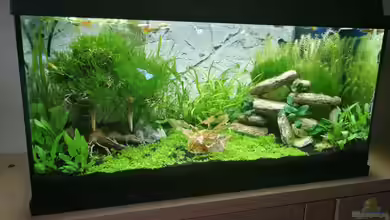 Garnelenbecken von Sprutz1973