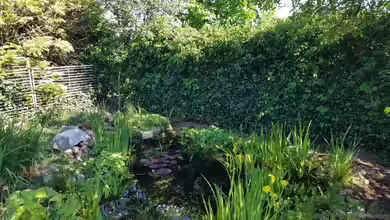 Gartenteich Werneke von Smo