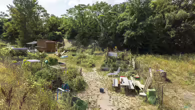 Gartentrends 2024: Ein Blick in die Zukunft des Garten-Designs