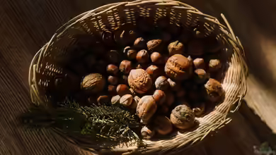 Gesunde Nüsse: Welche Sorten eignen sich für den eigenen Garten?