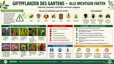 Giftpflanzen des Gartens: Risiken erkennen und sicher mit ihnen umgehen