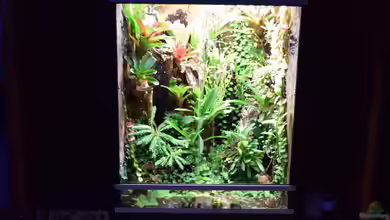 Green Box (verkauft) von Junglist