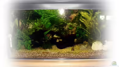 Greenscaping first one von Scaper