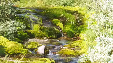 Hardangervidda von Junglist