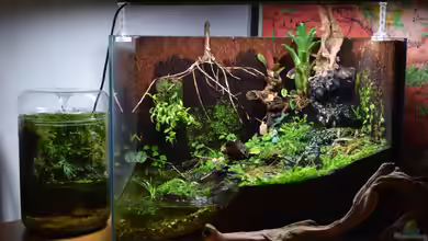 Hardangervidda von Junglist