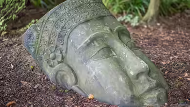 Harmonie im Terrarium: Gestaltung nach Feng Shui